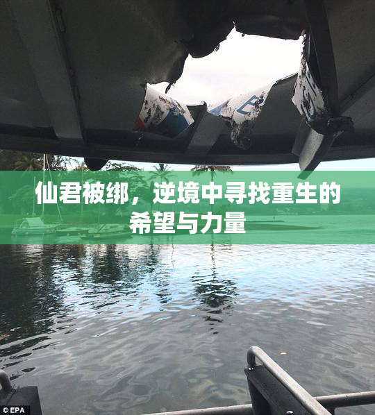 仙君被绑，逆境中寻找重生的希望与力量