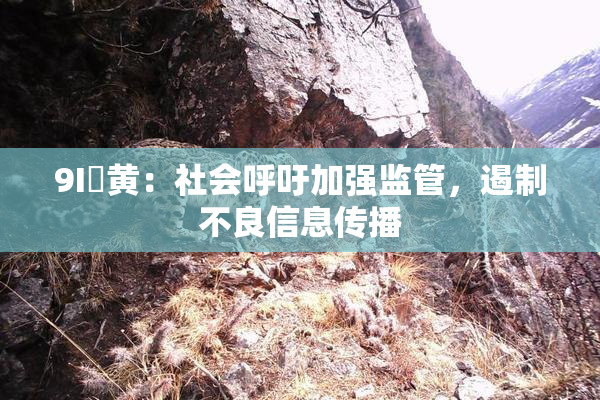 9I婬黄：社会呼吁加强监管，遏制不良信息传播