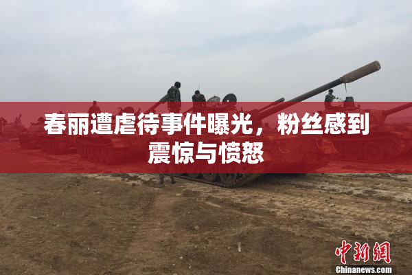 春丽遭虐待事件曝光，粉丝感到震惊与愤怒