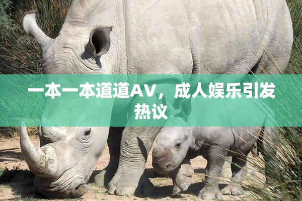 一本一本道道AV，成人娱乐引发热议