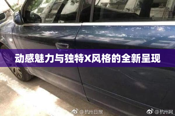 动感魅力与独特X风格的全新呈现