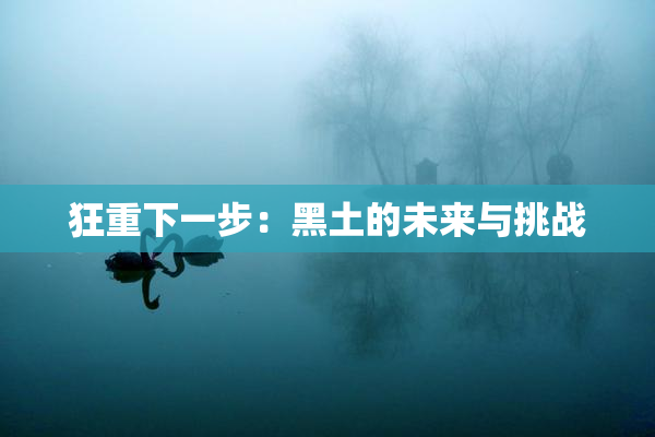 狂重下一步：黑土的未来与挑战