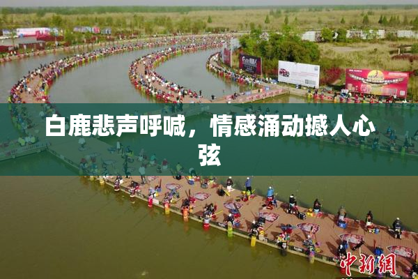 白鹿悲声呼喊，情感涌动撼人心弦