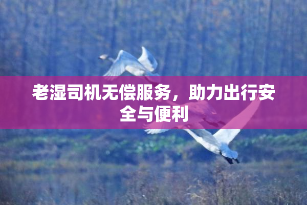 老湿司机无偿服务，助力出行安全与便利