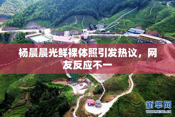 杨晨晨光鲜裸体照引发热议，网友反应不一