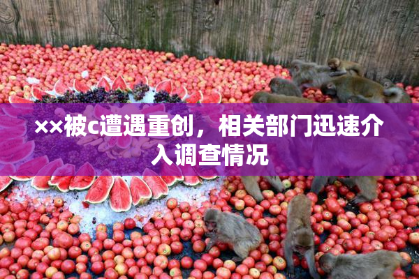 ××被c遭遇重创，相关部门迅速介入调查情况