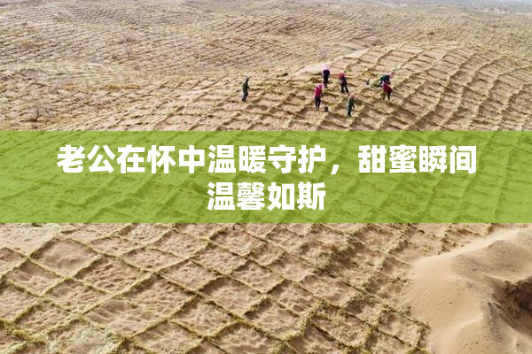 老公在怀中温暖守护，甜蜜瞬间温馨如斯