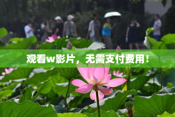 观看w影片，无需支付费用！