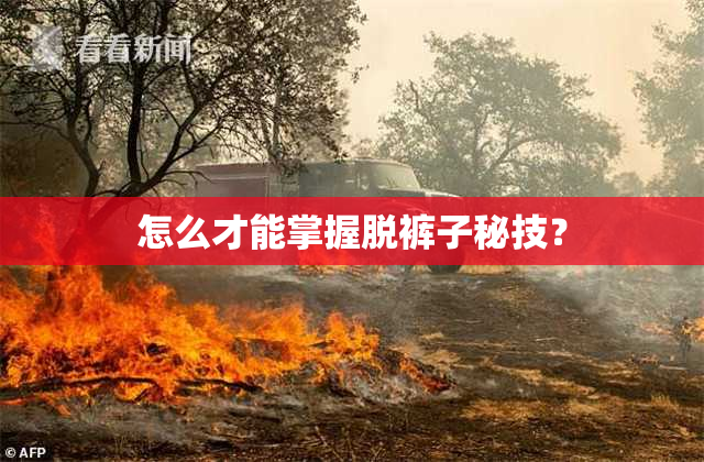 怎么才能掌握脱裤子秘技？