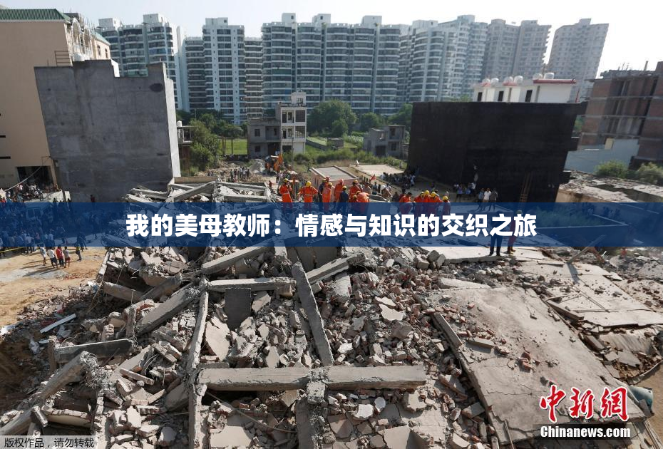 我的美母教师：情感与知识的交织之旅