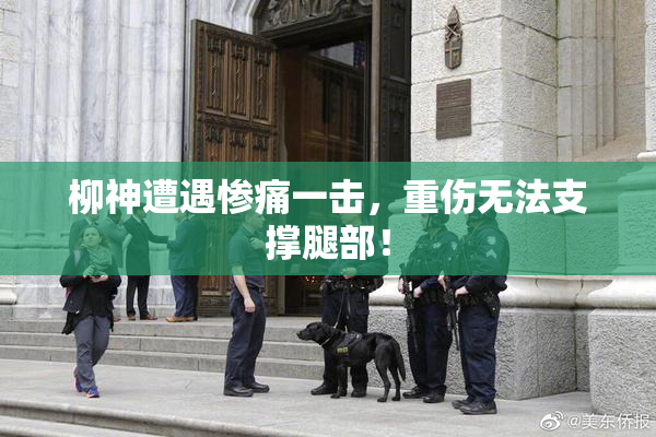 柳神遭遇惨痛一击，重伤无法支撑腿部！