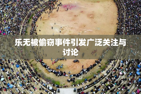 乐无被偷窃事件引发广泛关注与讨论