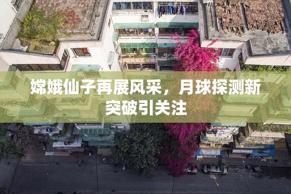 嫦娥仙子再展风采，月球探测新突破引关注