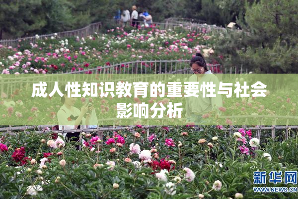 成人性知识教育的重要性与社会影响分析