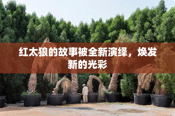 红太狼的故事被全新演绎，焕发新的光彩