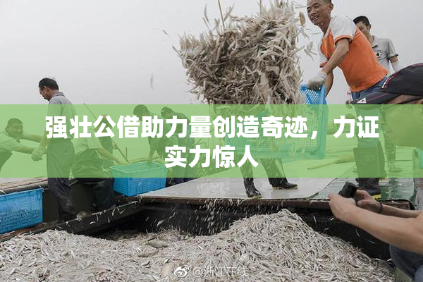 强壮公借助力量创造奇迹，力证实力惊人