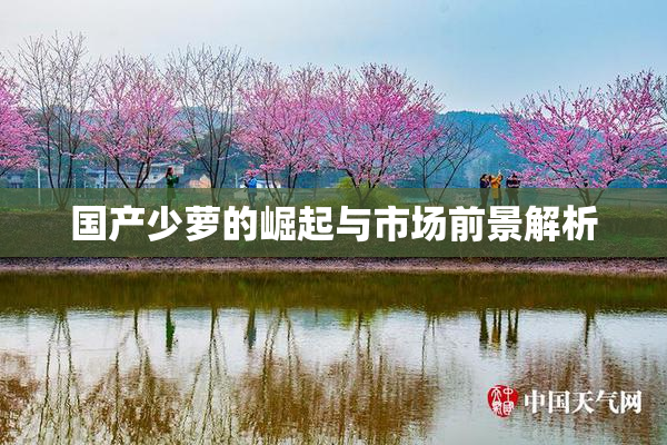国产少萝的崛起与市场前景解析