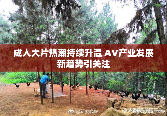 成人大片热潮持续升温 AV产业发展新趋势引关注
