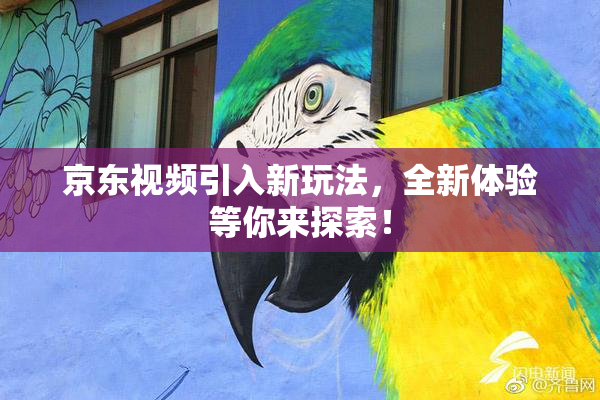 京东视频引入新玩法，全新体验等你来探索！