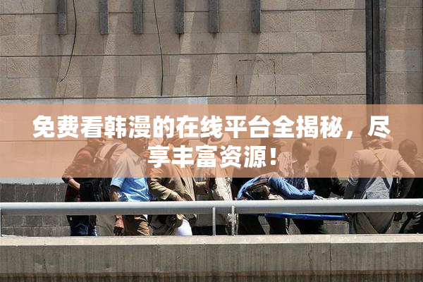 免费看韩漫的在线平台全揭秘，尽享丰富资源！