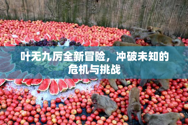 叶无九厉全新冒险，冲破未知的危机与挑战