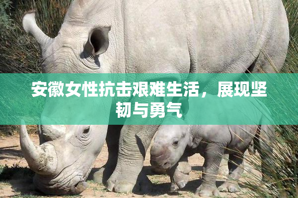 安徽女性抗击艰难生活，展现坚韧与勇气