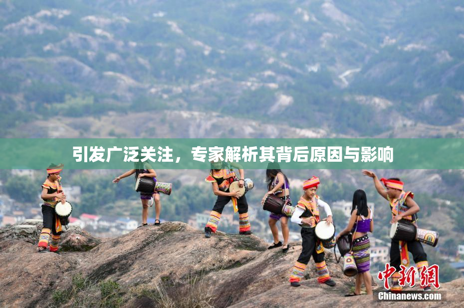 引发广泛关注，专家解析其背后原因与影响