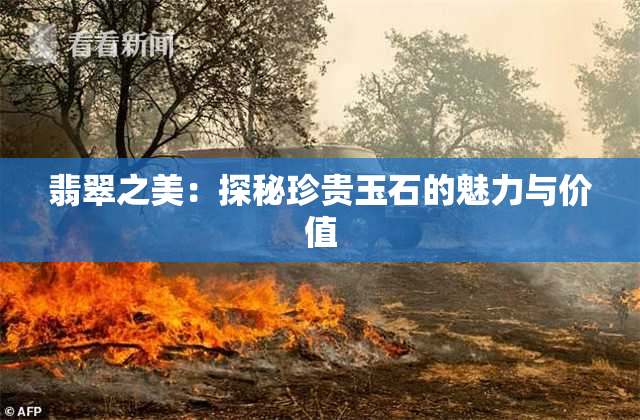 翡翠之美：探秘珍贵玉石的魅力与价值