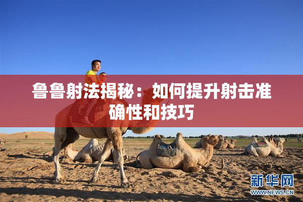 鲁鲁射法揭秘：如何提升射击准确性和技巧