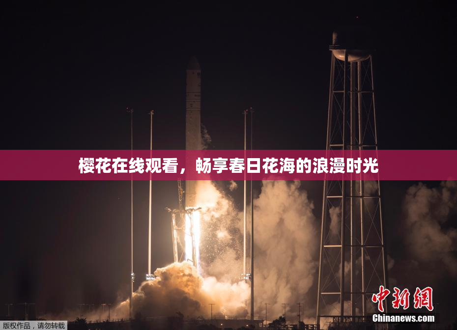 樱花在线观看，畅享春日花海的浪漫时光
