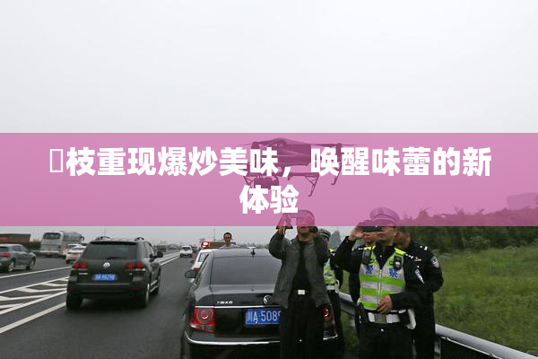 狛枝重现爆炒美味，唤醒味蕾的新体验