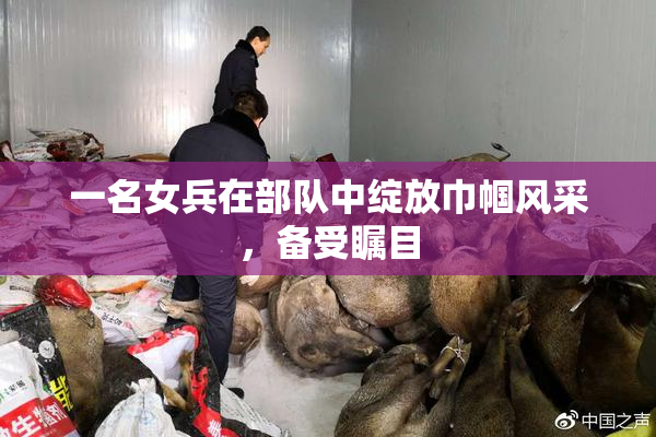 一名女兵在部队中绽放巾帼风采，备受瞩目