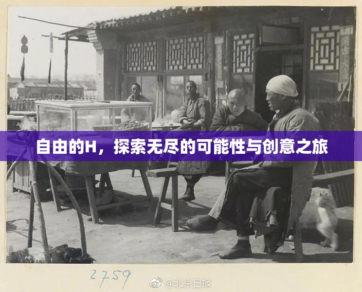 自由的H，探索无尽的可能性与创意之旅