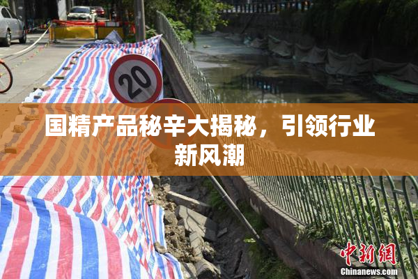 国精产品秘辛大揭秘，引领行业新风潮