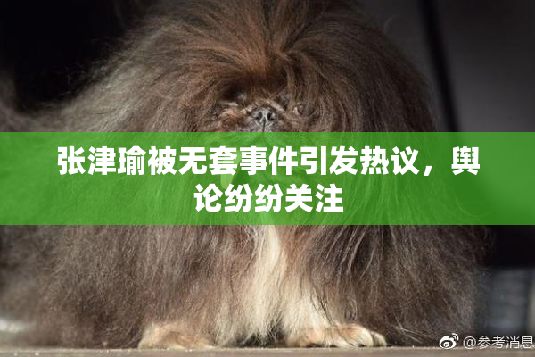 张津瑜被无套事件引发热议，舆论纷纷关注
