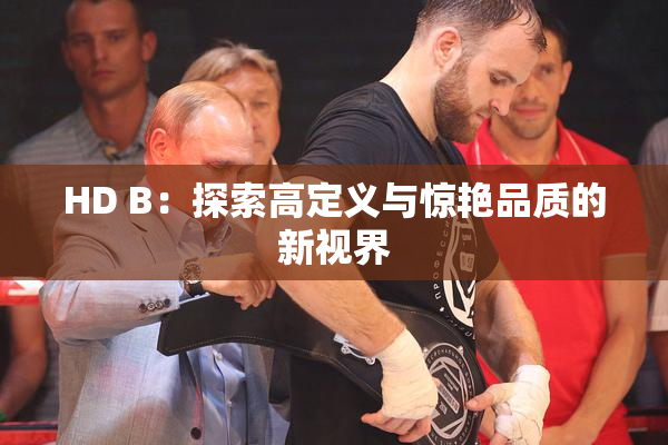 HD B：探索高定义与惊艳品质的新视界
