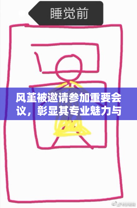 风堇被邀请参加重要会议，彰显其专业魅力与影响力