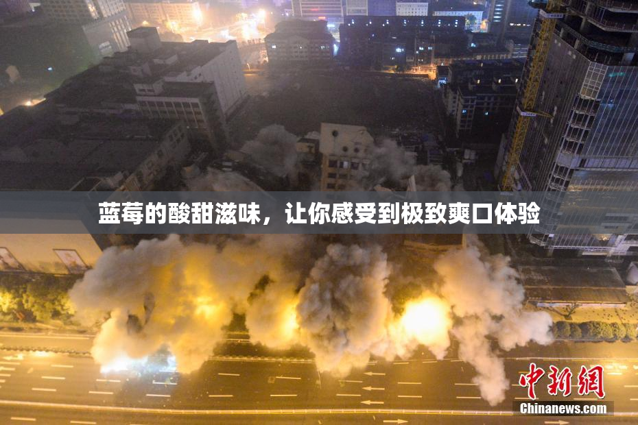蓝莓的酸甜滋味，让你感受到极致爽口体验