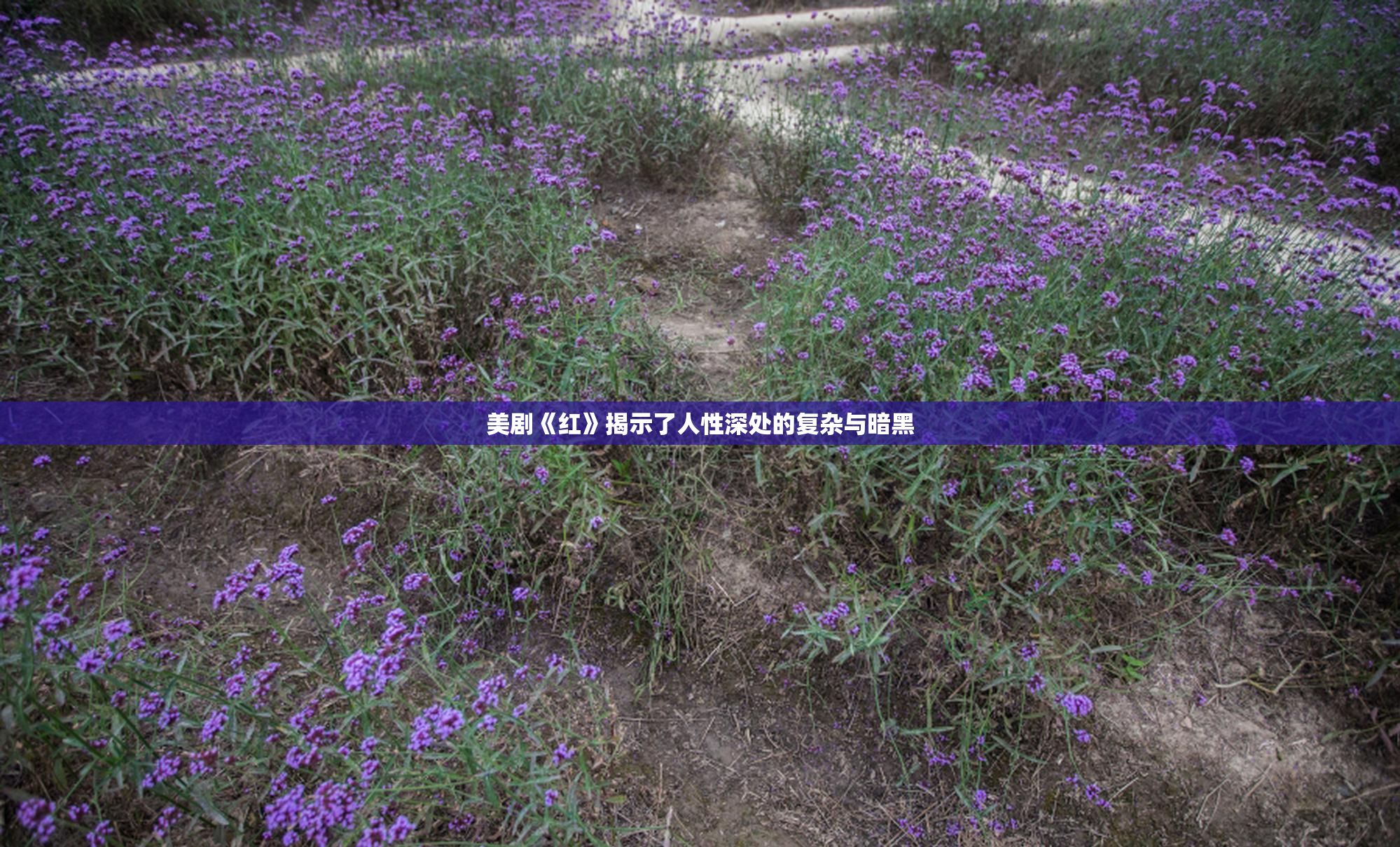 美剧《红》揭示了人性深处的复杂与暗黑