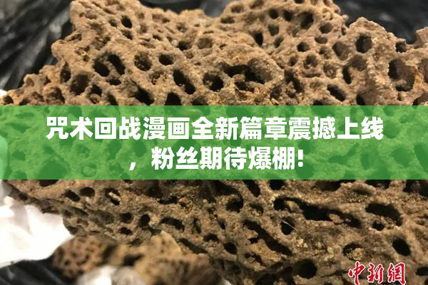 咒术回战漫画全新篇章震撼上线，粉丝期待爆棚!