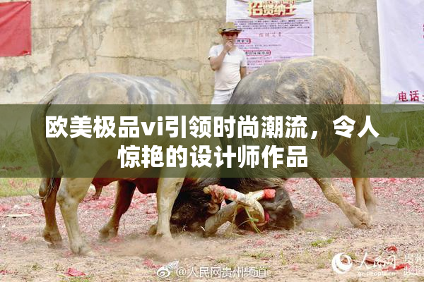 欧美极品vi引领时尚潮流，令人惊艳的设计师作品