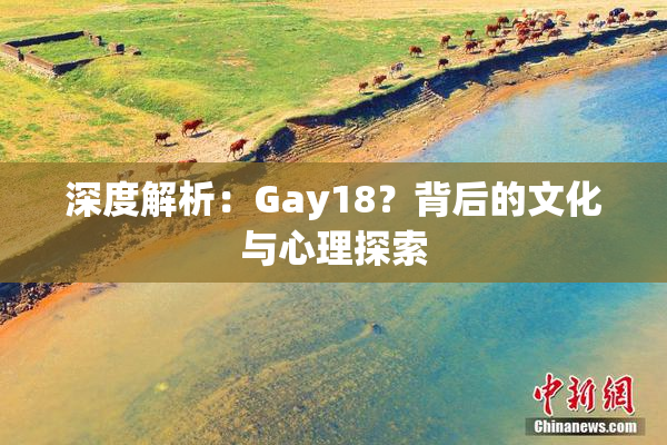 深度解析：Gay18？背后的文化与心理探索