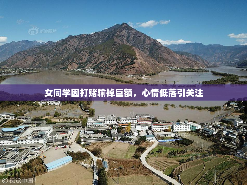 女同学因打赌输掉巨额，心情低落引关注