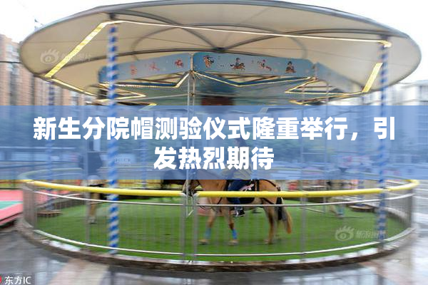 新生分院帽测验仪式隆重举行，引发热烈期待