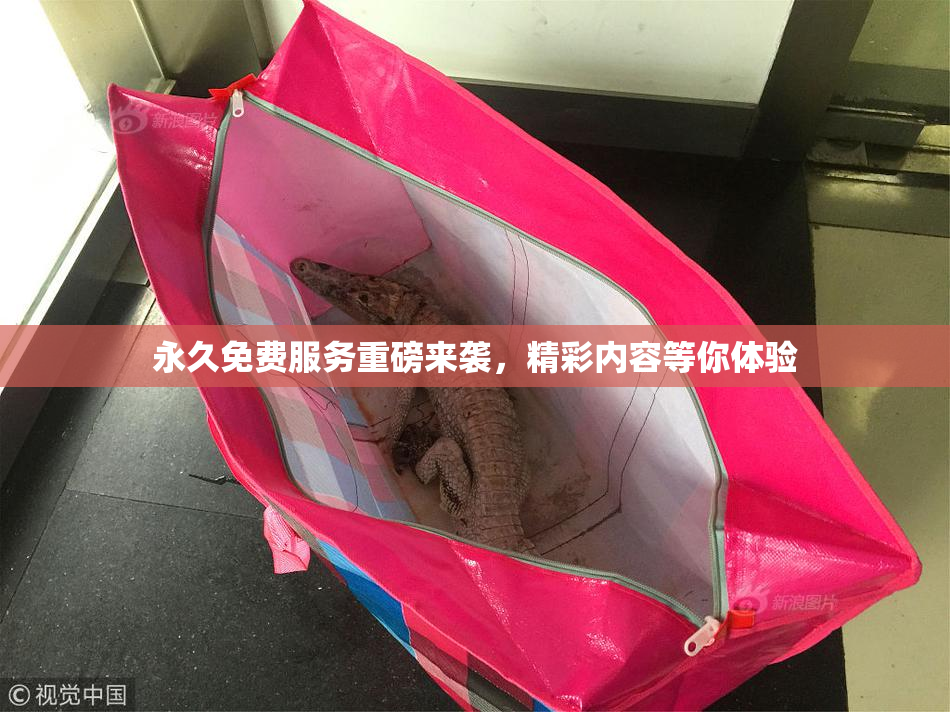 永久免费服务重磅来袭，精彩内容等你体验