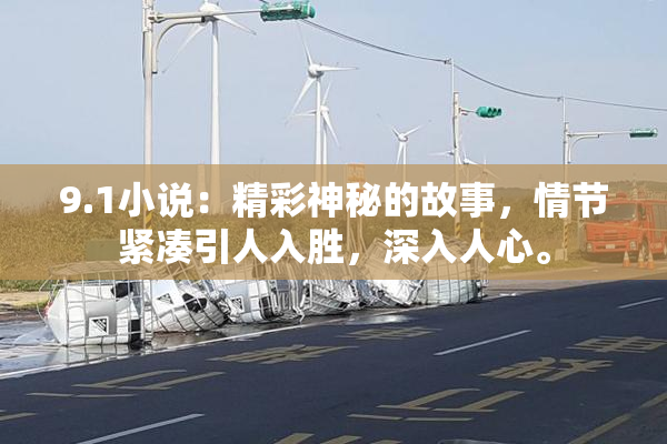 9.1小说：精彩神秘的故事，情节紧凑引人入胜，深入人心。
