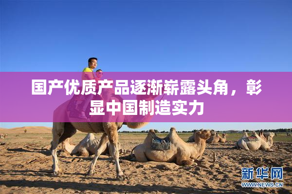 国产优质产品逐渐崭露头角，彰显中国制造实力
