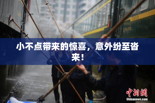 小不点带来的惊喜，意外纷至沓来！