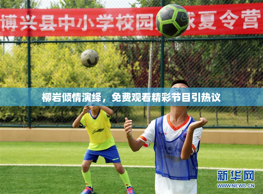 柳岩倾情演绎，免费观看精彩节目引热议