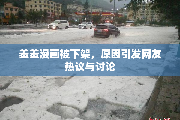 羞羞漫画被下架，原因引发网友热议与讨论